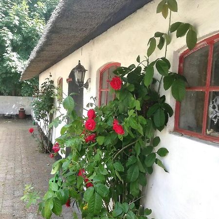 Gemuetliches Reetdachhaus Mit Kaminofen Hostel รีเบอ ภายนอก รูปภาพ