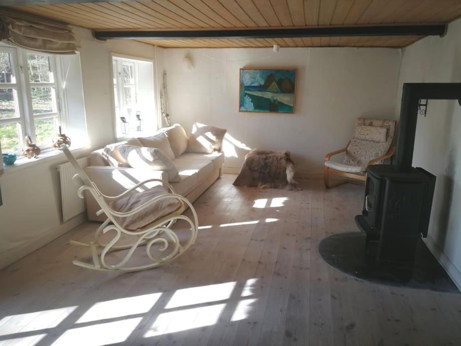 Gemuetliches Reetdachhaus Mit Kaminofen Hostel รีเบอ ภายนอก รูปภาพ