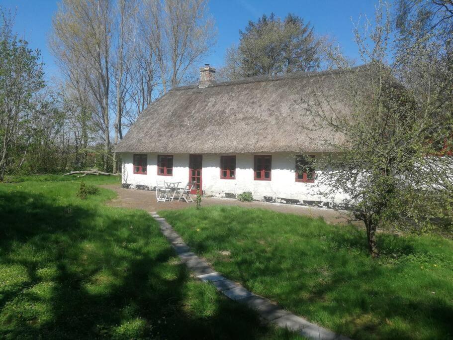 Gemuetliches Reetdachhaus Mit Kaminofen Hostel รีเบอ ภายนอก รูปภาพ
